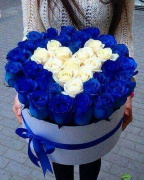 Сердце синие розы